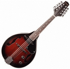 Stagg M50 E
