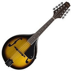 Stagg M40 S