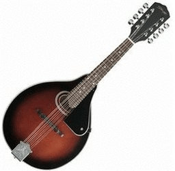 Stagg M30