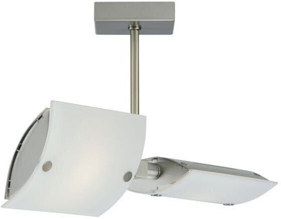 Casablanca Oyster SQ21-D5