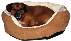 Maxi Pet Lit Amy 64 x 57 cm