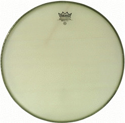 REMO Renaissance Ambassador 12