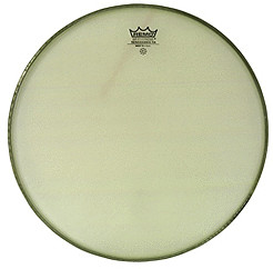 REMO Renaissance Ambassador 14
