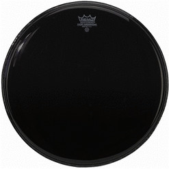 REMO Ebony Ambassador 10