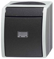 Busch-Jaeger 2601/2 W-54