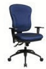 Topstar Wellpoint 30 SY