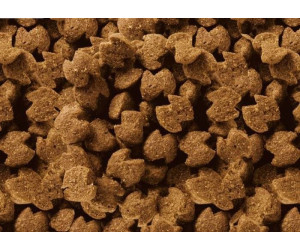 eukanuba cocker