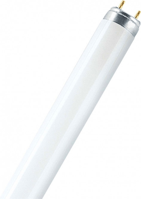 Osram L 36W/67