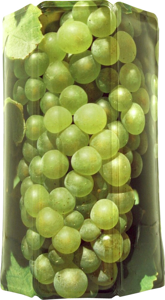 Vacu Vin Refroidisseur à vin Rapid Ice