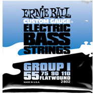 ERNIE BALL Flatwound Bass Group I .055 - .110