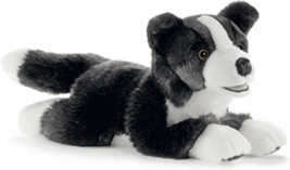 Anima Border Colley