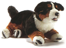 Anima Bouvier Bernois 42 cm