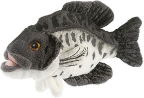 Anima Carpe 20 cm