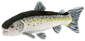 Anima Truite 27 cm