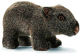 Anima Wombat bébé 24 cm