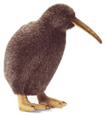Anima Kiwi 28 cm