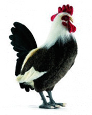 Anima Coq 45 cm