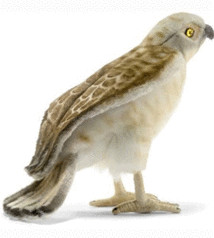 Anima Faucon Crécerelle 27 cm
