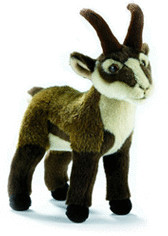 Anima Chamois 25 cm