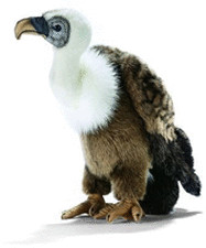 Anima Vautour 34 cm