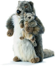 Anima Marmotte avec bébé 33 cm