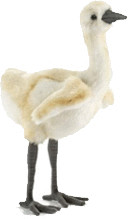 Anima Grue du Canada poussin 32 cm