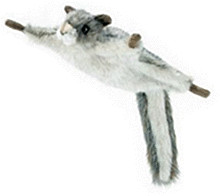 Anima Ecureuil volant 22 cm