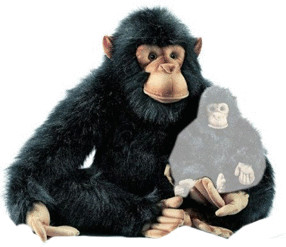 Anima Chimpanzé 60 cm