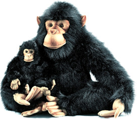 Anima Chimpanzé bébé 25 cm