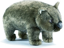 Anima Wombat gris 37 cm