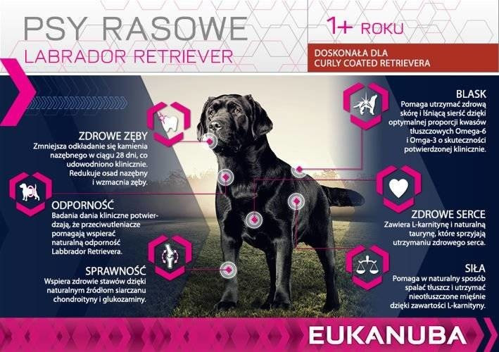 Eukanuba Croquettes pour chien 12kg Eukanuba Croquettes pour chien 12kg