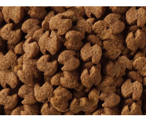 Buy Eukanuba Breed Rottweiler 12kg from 36.28 Today Best
