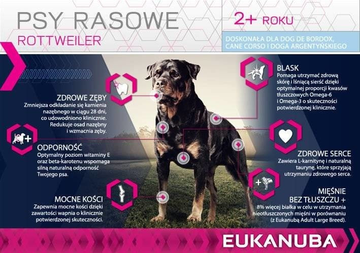 Eukanuba breed specific rottweiler top
