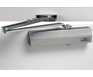 Acquista Burg Wächter TS 4000 S Chiudiporta Argento Da