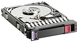 HPE SAS DP 300Go (492620-B21)