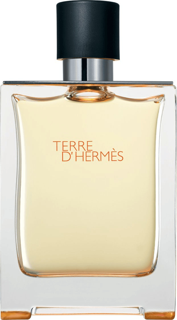Hermès Terre d'Hermès Eau de Toilette (200 ml)