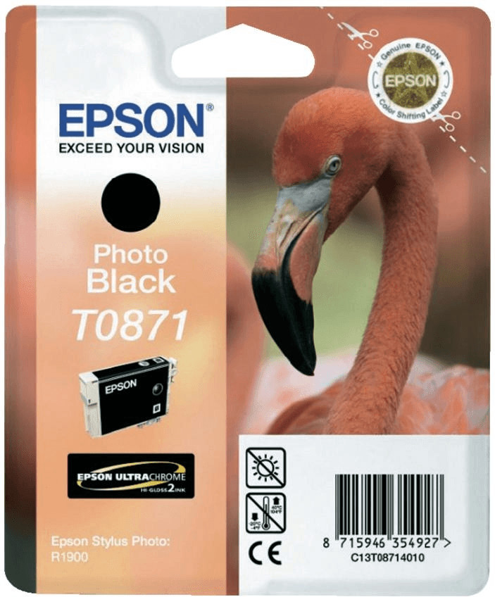 Epson T0871 noir photo