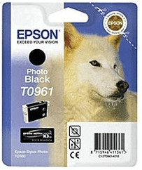 Epson T0961 noir photo