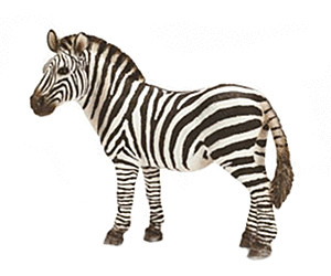 Schleich Zebra Female