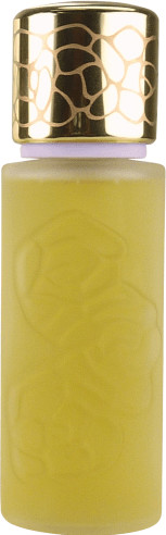 Houbigant Quelques Fleurs L'Original Eau de Parfum (100 ml)