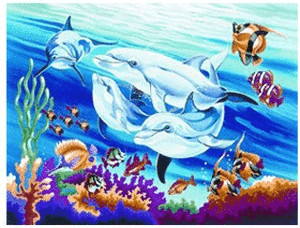 Mammut jouets Painting by Number Dolphins