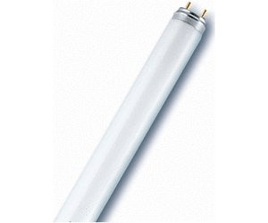 Radium U-Röhre NL-T8 18W/830U 2G13 1350lm warmweiß 3000K Leuchtstoffr, 7,98