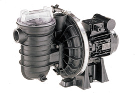 Pentair Sta-Rite 5P2R C-3 Standard (0,5 cv 7m³/h Tri)
