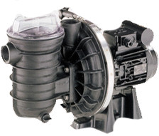 Pentair Sta-Rite 5P2R D-3 Standard (0,75cv 12m³/h Tri)