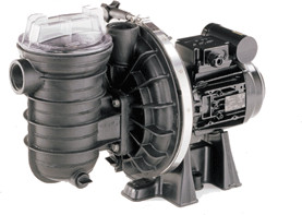 Pentair Sta-Rite 5P2R E-3 Standard (1cv 15m³/h Tri)