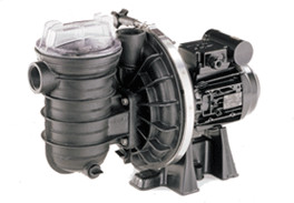 Pentair Sta-Rite 5P2R F-3 Standard (1,5cv 18m³/h Tri)