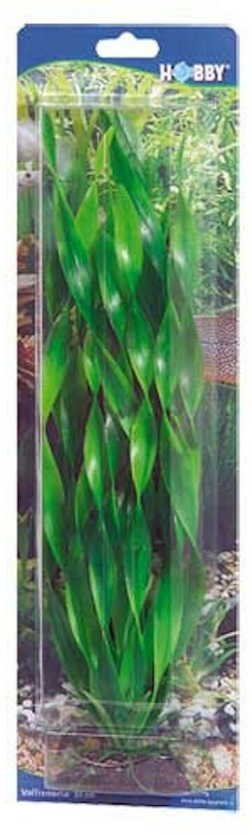 Hobby Vallisneria (34 cm)