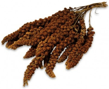 JR FARM Millet rouge (1 kg)