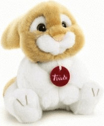 Trudi Lapin Olivero