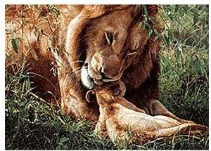 Educa Borrás Tendresse sauvage
